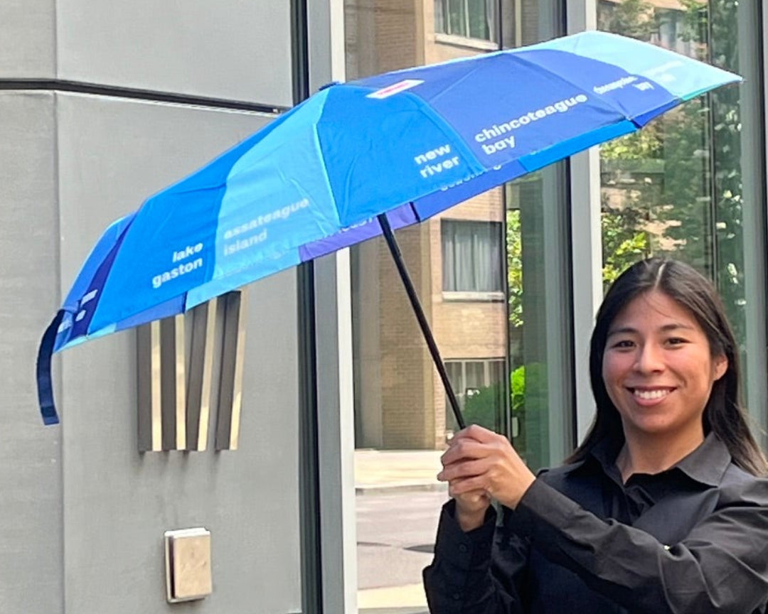 DMV H2O Travel Umbrella